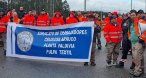 Más de 300 trabajadores de Planta Valdivia de Celulosa Arauco en huelga