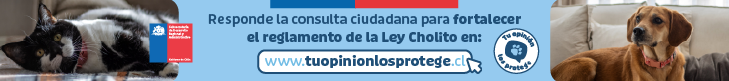 Banner publicitario