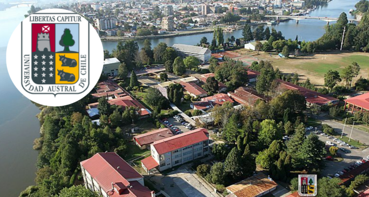 Preocupación por “estigmatización” y “criminalización del movimiento estudiantil” por caso de Universidad Austral