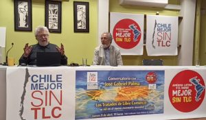 José Gabriel Palma y el seguro fracaso de Kast